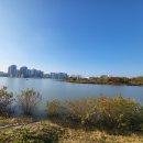 성성호수공원 이미지