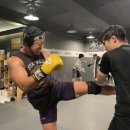 ART OF MMA 이미지