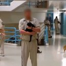 미국 교도소에서 고양이를 돌보는 재소자들 이미지