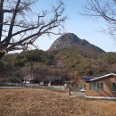 삼은당 티스토리