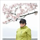 서수 Daum카페