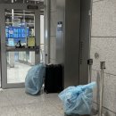 대한의백 | [도쿄 여행] 대한항공 KE751 하네다행 이용후기 및 면세 캐리어 게이트백 후기