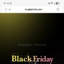 에이엠씨 | 2025 로제도르, 스타일러스 블랙 프라이데이 세일 구매 후기