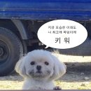셀프로 알아보는 나의 미래(사주) | 사주 _ 인생에 설계도가 있었나 봐요.