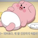 장미레트로포차