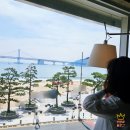광안리 워킹홀리데이 광안대교뷰 애견동반 브런치 카페 부산 브런치 메뉴주차 내돈내산 후기