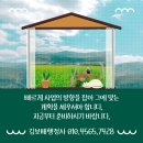 김보배행정사사무소 이미지