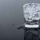 피트니스넘버원 이미지