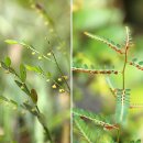 술 도둑놈 이미지