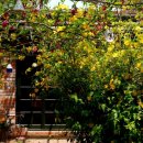 아미미술관 이미지