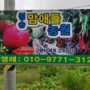 갈미농장 이미지