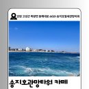 송지호관망타워 카페
