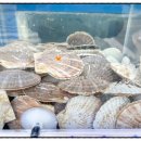 소문난 구이 이미지