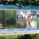 국토종주 영산강자전거길(담양댐-목포영산강하굿둑 133Km)구간 완주(1) 이미지