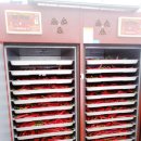 한시열농장 이미지