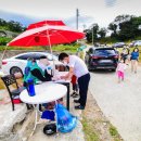 근포땅굴 이미지