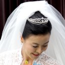 진희경 카카오 검색결과