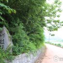 퓨전안동찜닭 이미지