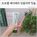 자연을담은생약 | 잇몸 치약 추천 입냄새제거 프로벨 메디테라 칫솔 세트