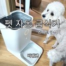 펫 자동 급식기 사용기 ★ <b>바램</b>펫 스마트 자동급식기 밀리