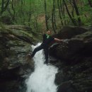 해피데이 이미지