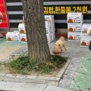 뉴메트로약국 | [대구 수성구] 메트로 안과 확장 이전 스마일 라식 3주 차 후기 😎