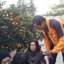 김찬우농장 이미지