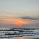 스타식당 이미지