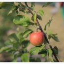 충주시 농민문화체육센터 이미지