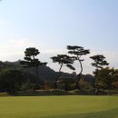 떼제베 골프연습장 이미지