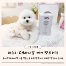 만피몰 | 빗질만 해도 피모관리 가능한 리스피 OH라디칼 케어 펫브러쉬 강아지브러쉬