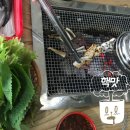 진동돌장어 이미지