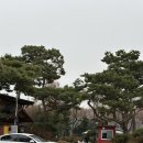 이화상사 | 인천순대국맛집 이화찹쌀순대 솔직후기 (이음카드)