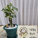 별내초등학교(병설) 이미지