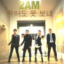 스테디윤