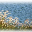 우미쁘띠린공인중개사사무소 이미지