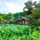 연꽃과 배롱나무로 가득한 최고의 전통 가옥, 7월 국내 여행지로 완벽 이미지
