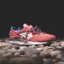 골드피그 이미지