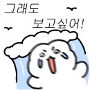 그래도 사랑해 이미지