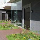 설레인 별 이미지