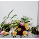 목련초등학교 이미지