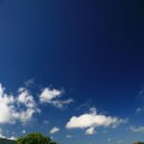 하나비하우스 이미지