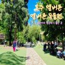 호주 멜버른 동물원 추천 멜버른주 입장권 가격 캥거루 코알라 후기