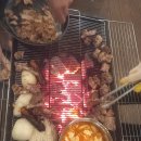 올가리조트 | 통영 올가리조트 후기