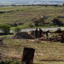 조련 카카오 검색결과