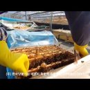 (주)한국양봉산업 이미지