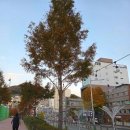 구덕운동장 이미지