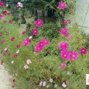 곤지한정식 이미지