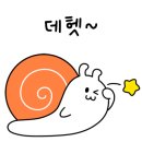 청호동 방파제 이미지