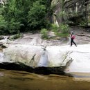 무릉계곡 진입로 이미지